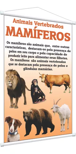 Defina Seu Cardápio da Semana